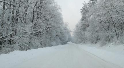 Balesetveszélyes utak a Mecsekben és a Zselicben - figyelmeztet a Mecsekerdő Zrt.