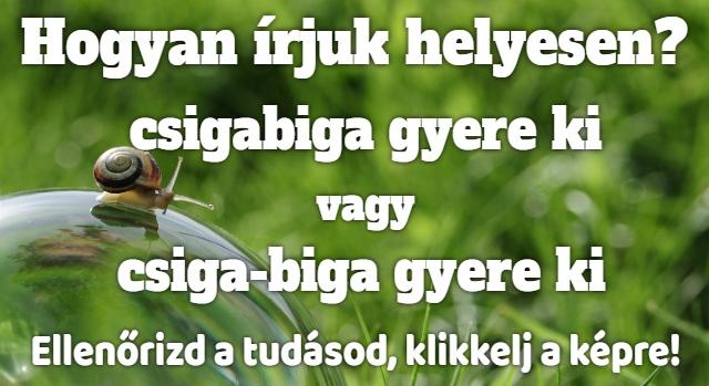 Napi helyesírás feladat: Tudod hogyan írjuk helyesen?