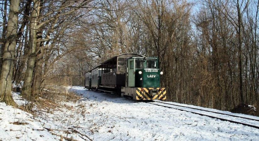 Zúzmaraexpresszt indít az Észekerdő Zrt.