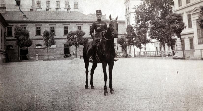 Vásárhely Anno: véres szerencsétlenség a piacon