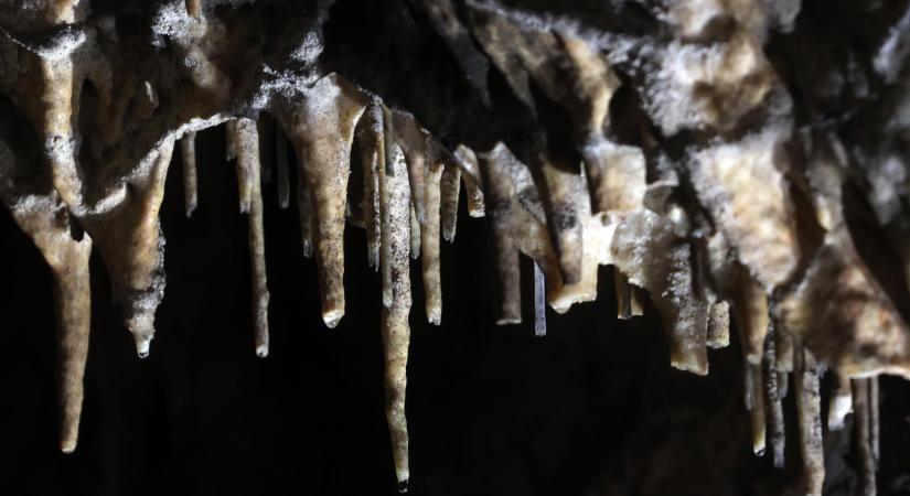 Agrárminisztérium: idén 40 éves az Aggteleki Nemzeti Park