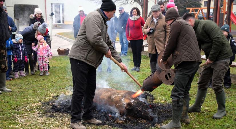 Már alig tartják, viszont vágják – Hagyományőrző disznóvágás Csesztregen és Kerkafalván (galéria, videó)