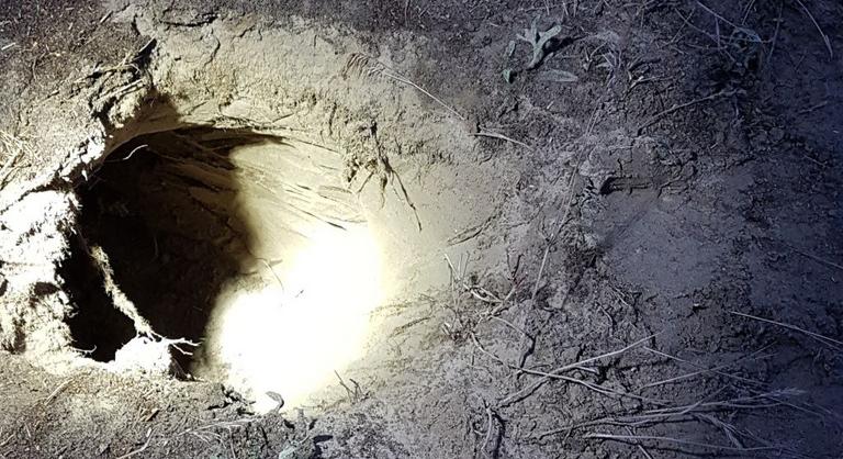 A szerb-magyar határon átvezető alagutat találtak Mórahalomnál