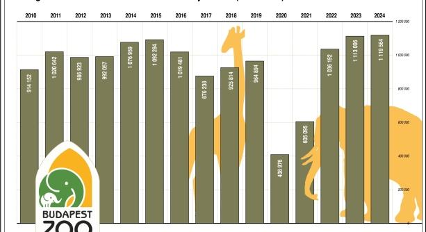 Tavaly több mint 1,1 millió látogatója volt a Fővárosi Állatkertnek