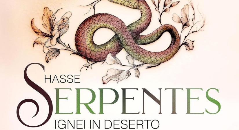 Hasse: Serpentes ignei in deserto – Les Accents, Noally