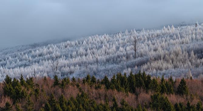 Zúzmarába zárja a hegyeket a hidegpárna