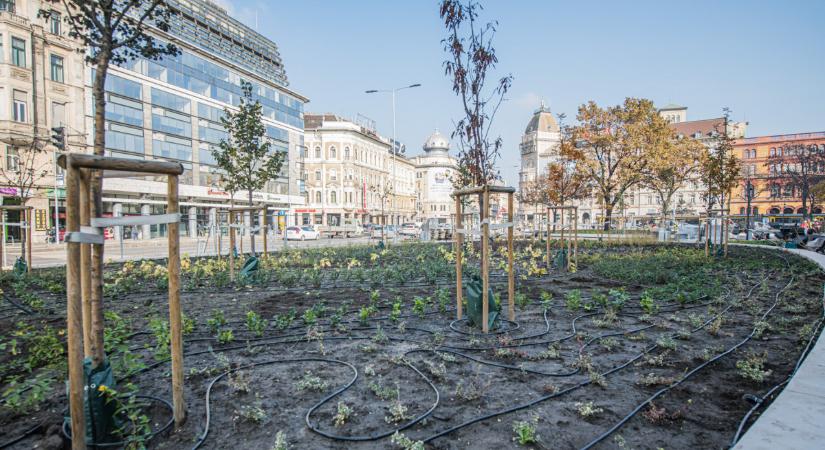 Széttúrták Budapestet, mindenki csak néz