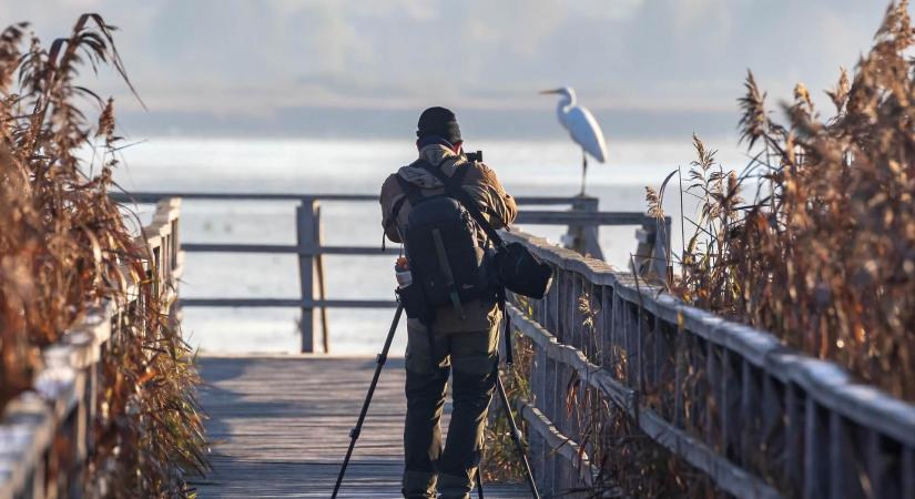 Mi az a Crop Factor, és miért fontos a fotózásban?