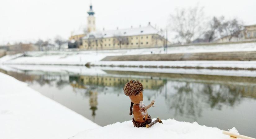 Makk Matyi kalandja a győri hóesésben – Látványos galériában mutatjuk olvasónk történetét