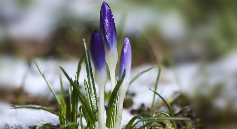 Ónos eső, fagyott eső – de hétvégére meglepetést tartogat az időjárás