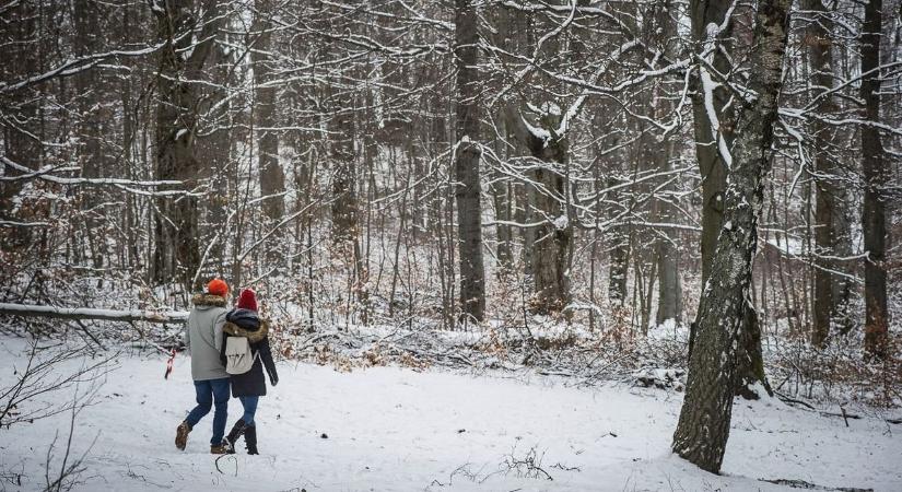 Turistautakat zárnak le a Bükkben