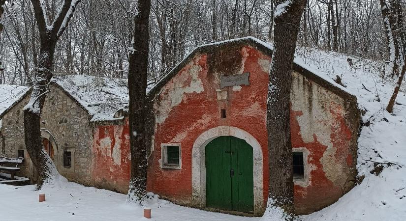 Hó alatt rejtőző történetek – a Pátyi Pincehegy varázsa télen