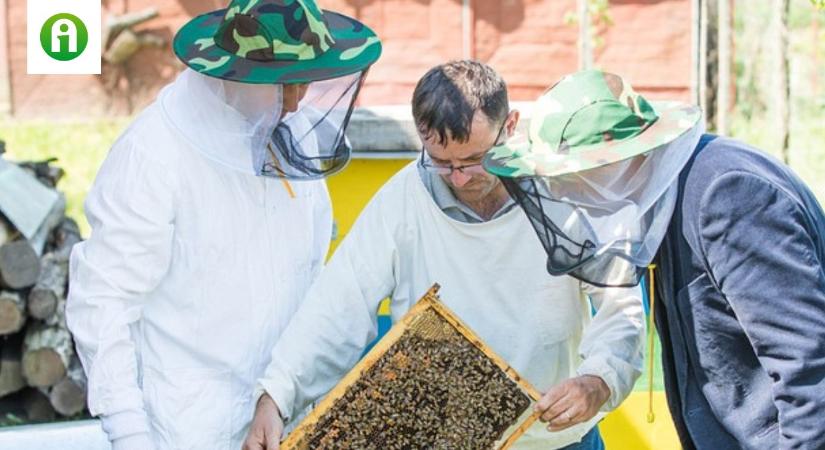 Méhészek a válság szélén: tonnaszám áll a hordókban az eladatlan méz