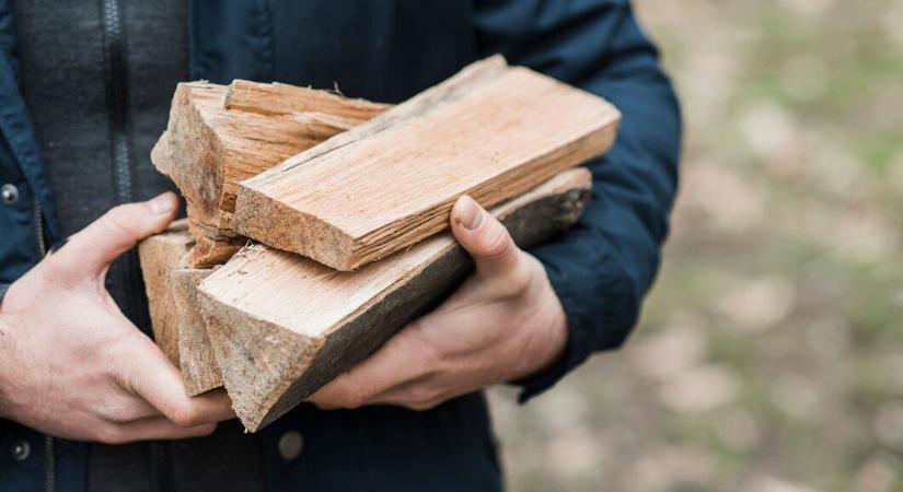 Tetten érték a sajókazai tolvajokat