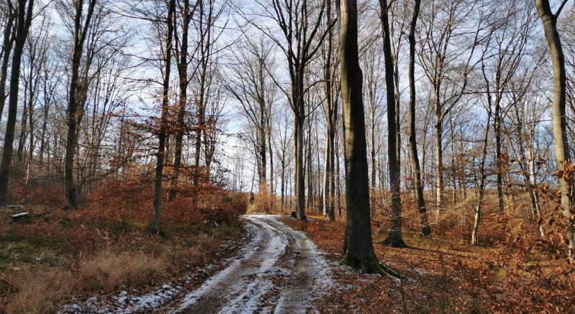 Kirándulóhelyek távol a város zajától – télen is látványosak