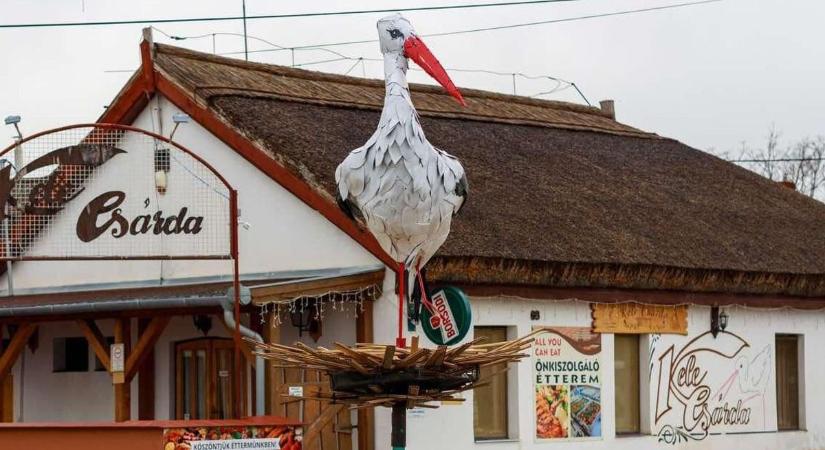 Különleges gólya érkezett meg januárban