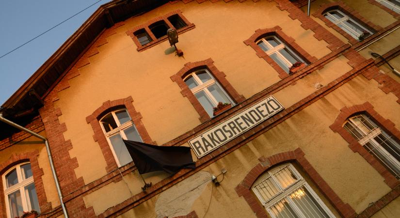 Stalter György: Átrendeződés/ Rákosrendező (2012–2021)