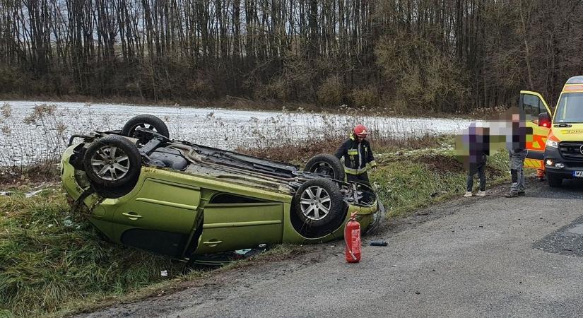 Az utak oroszlánkirályai és a túlélés trükkjei a Bakony útjain – 2. rész