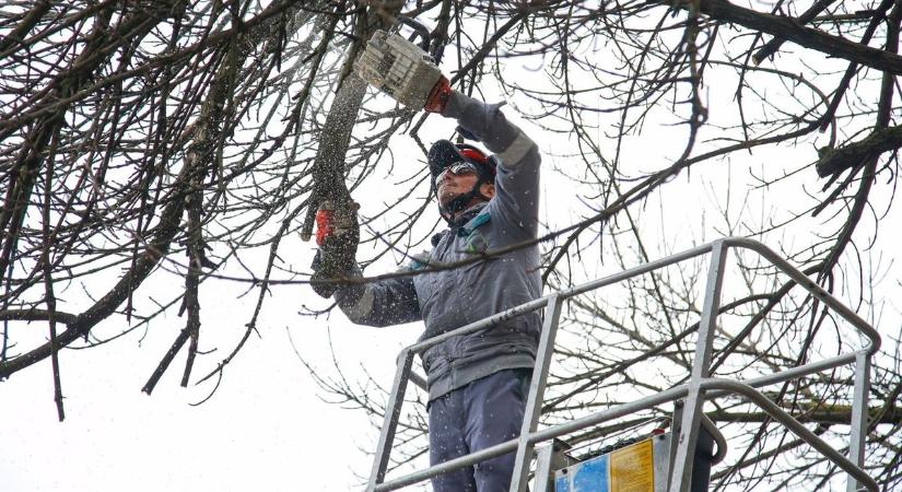 Megindultak a gépek Tiszafüreden, ilyen munkákat végeznek most a városban