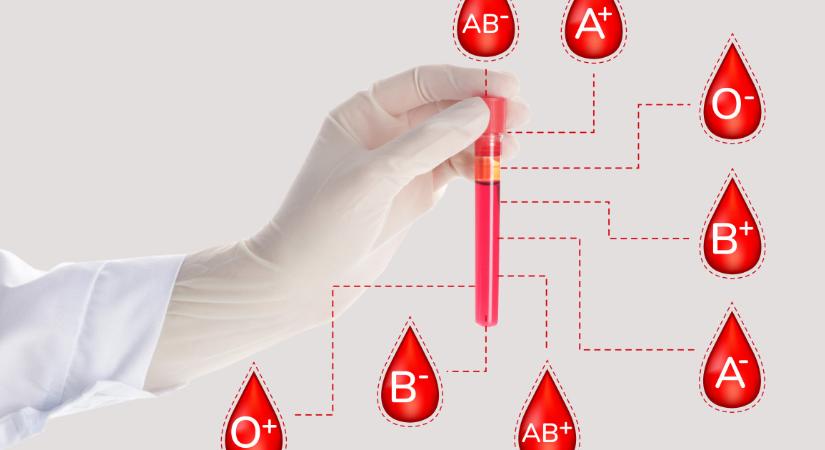 Ez a legszerencsésebb vércsoport a kutatások szerint: sokkal egészségesebb lehetsz, ha ide tartozol