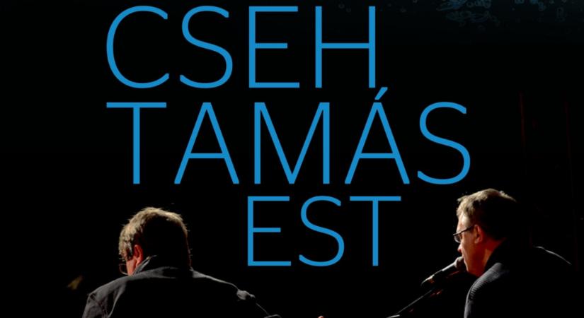 Gondoljatok egy képre – és Cseh Tamásra Budakalászon