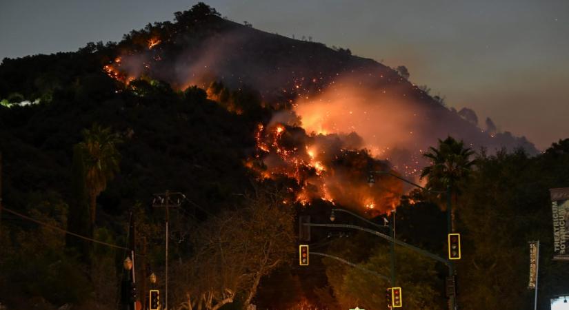 Örökre megváltozhat az elővilág a Los Angeles-i tűzvész miatt