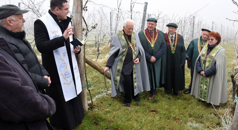 Kedvezőtlen előjelek a lendvai Vince-napon – aggódhatnak a borosgazdák? (videó)