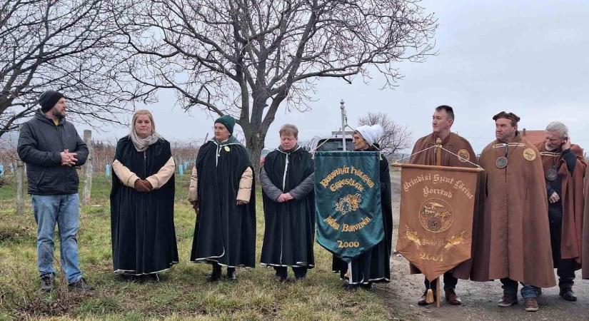 Vince-napi vesszővágást tartottak, bízva az Úrban és a jó termésben