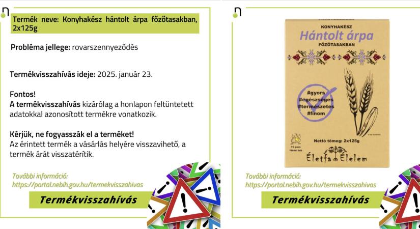 Rovar került ebbe az ételbe, ne edd meg!