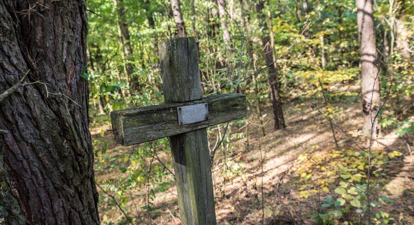 Rejtélyes sírokat találtak a Nemzeti Park területén, kirándulók fedezték fel