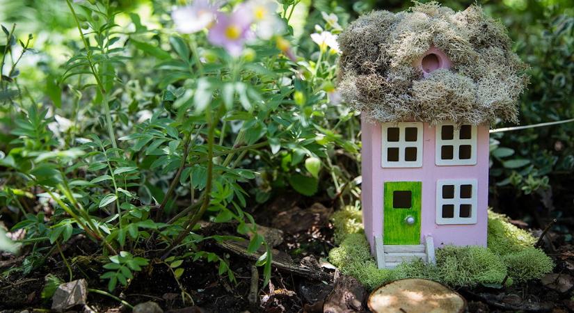 Miniatűr kertek: tündérkertek és bonsai – természetközeli hobbi, ami új színt hoz az aranykorba