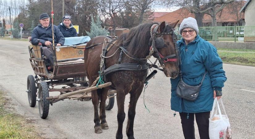 Egy lóerős bevásárlókocsi