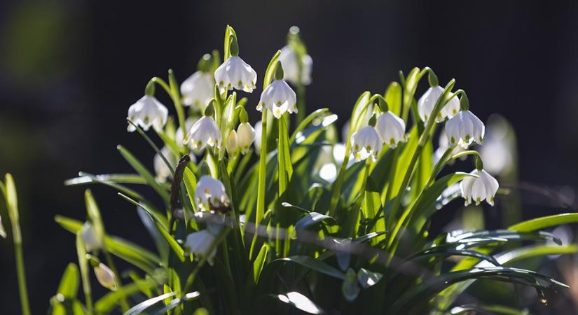 24 óra alatt 5-13 Celsius-fokkal lett melegebb