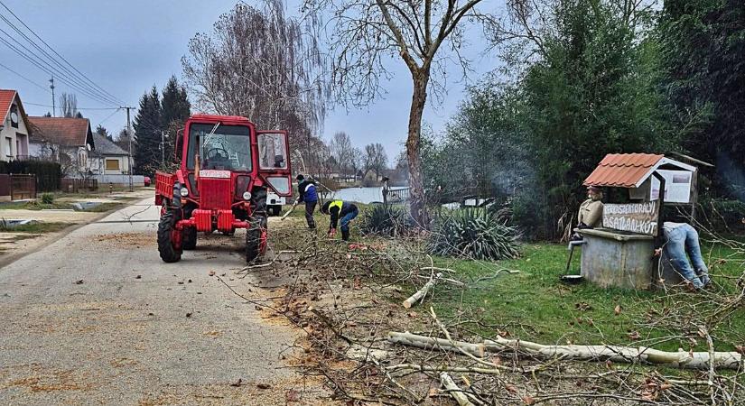 Elhárították a balesetveszélyt a tóparti platánsoron