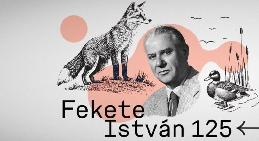 Fekete István 125 éve született, az írót közösen ünnepli a PIM és a Természettudományi Múzeum