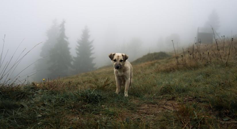 Hétvégén benéz kicsit a tavasz, de nem marad sokáig