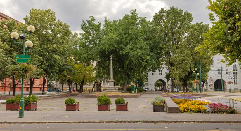 Hihetetlen, milyen növények lephetik el ezt a magyar térséget: mi történik itt?