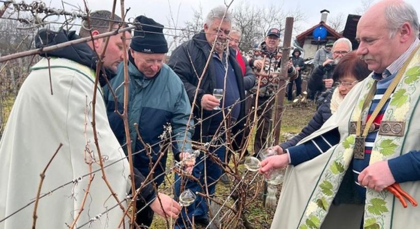 Áldást kértek a szőlőtőkékre a tormaföldei Vince-napon