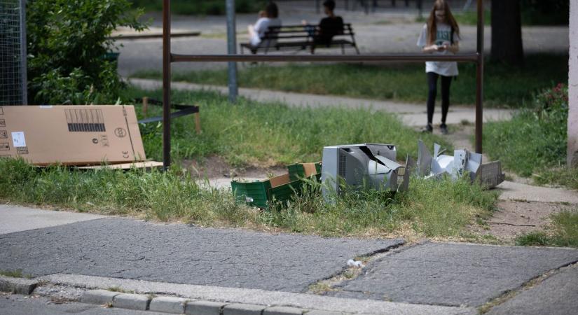 Újfajta lomtalanítás? Ilyen lesz a Mohu rendszere