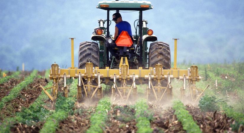 Az Agrárminisztérium kérdőívvel méri fel a diákmunka igényeket a mezőgazdaságban