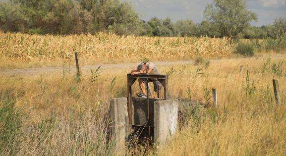 „Gerillák” tűntek fel az Alföldön