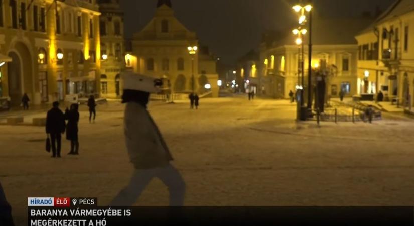 Elég egy lófej a nagy nézettséghez – ez már a Keresztapában is bevált