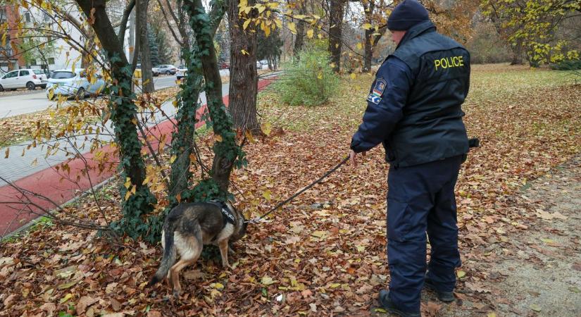 Furcsa alak járta az utcát éjjel a faluban, a bicska is előkerült