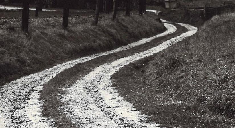 Lólopás furfangos ötlettel és erőszakkal Csapiban és Zalaszentjakabon