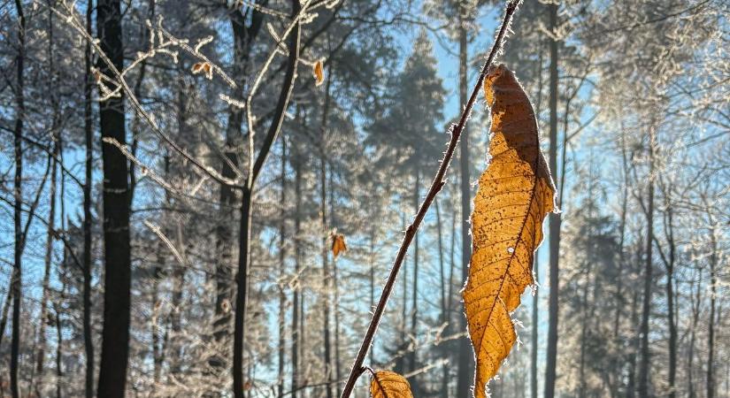 Tiszta tavasz: délután 16 fokig melegszik a hőmérséklet Vas vármegyében