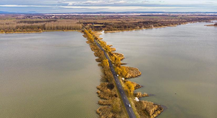 Viaszteknőcök és gyurmatojások jelentek meg a Kis-Balatonban, ámul az állatvilág