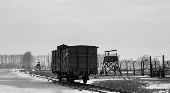 „A lágert kimeríteni nem kevésbé bolond igény, mint kikanalazni a tengert” – 5 könyv Auschwitz felszabadításának 80. évfordulójára