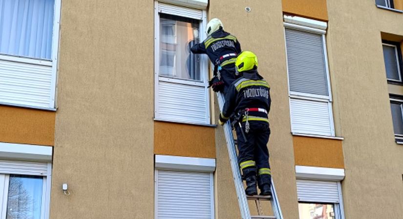 Két idős ember életét mentették meg a pécsi tűzoltók