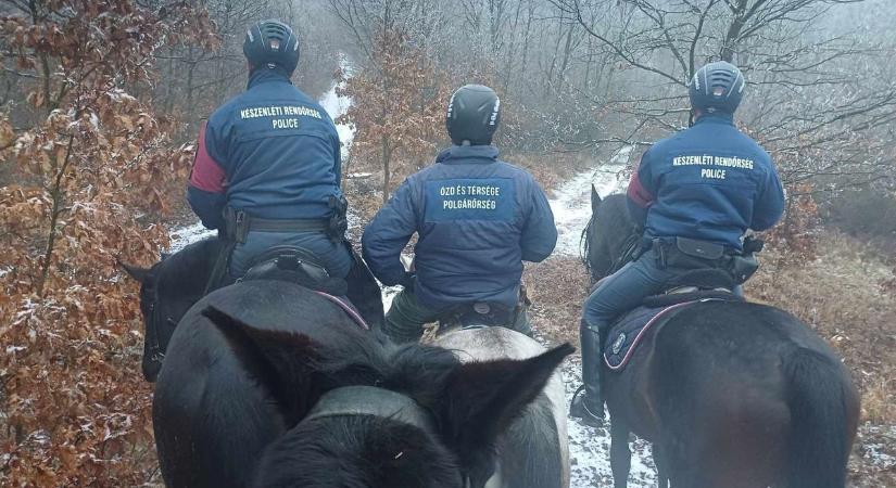 Lovas járőrök kapták el a fatolvajokat - képekkel