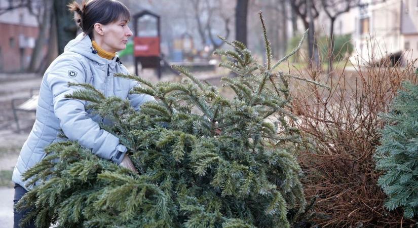 Utolsó lehetőség: ma lejár a határidő